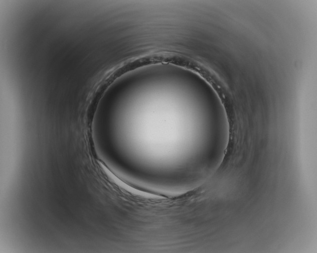X0000114680773200910211209