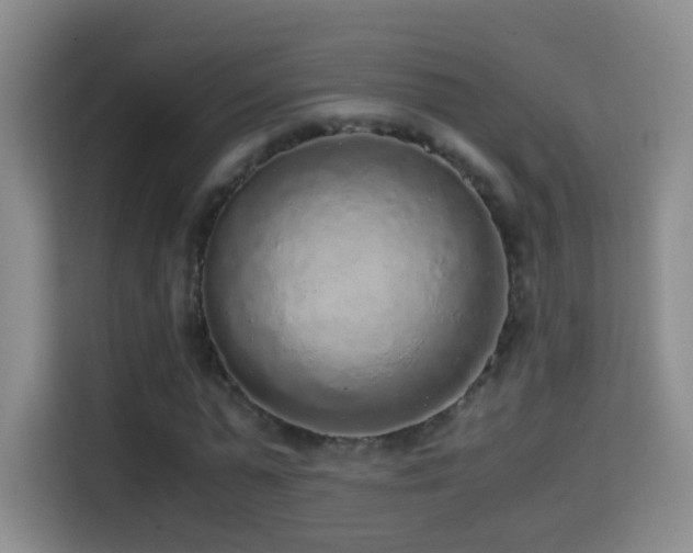 X0000114680775200910211209