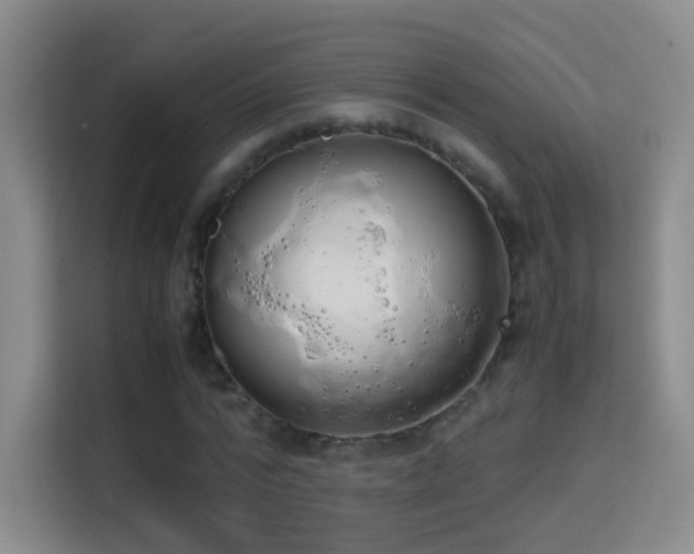 X0000114680776200910211209