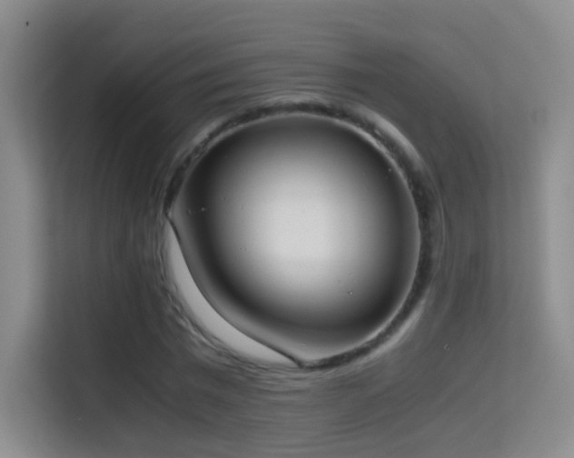 X0000114680777200910211209