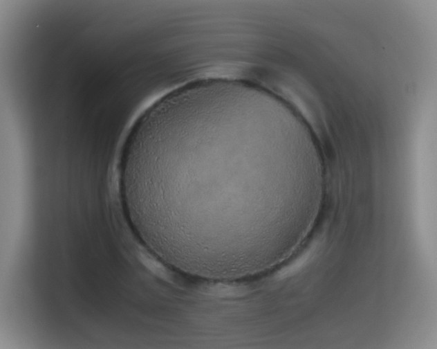X0000114680779200910211209