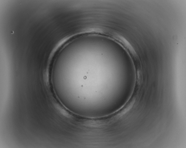 X0000114680780200910211209