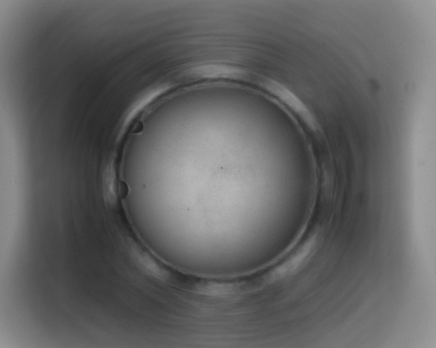 X0000114680782200910211209