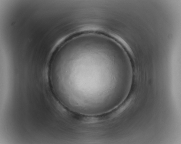 X0000114680783200910211209
