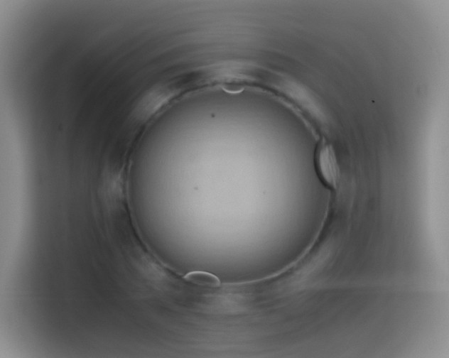X0000114680785200910211209