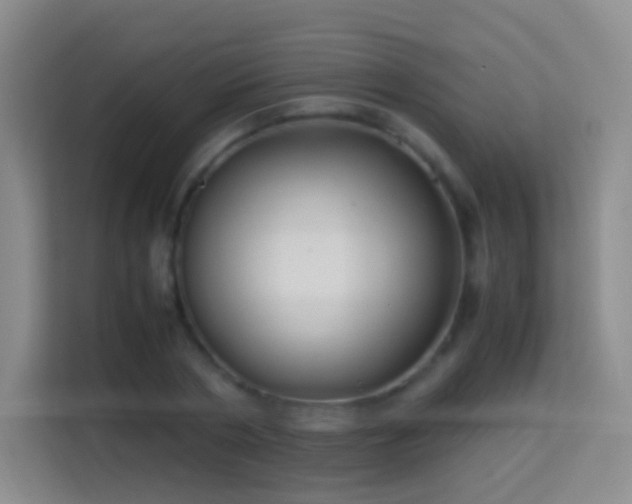 X0000114680786200910211209