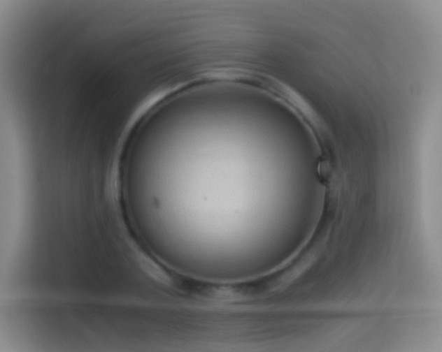 X0000114680787200910211209
