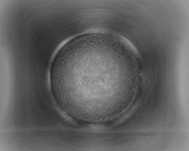 X0000114680788200910211209