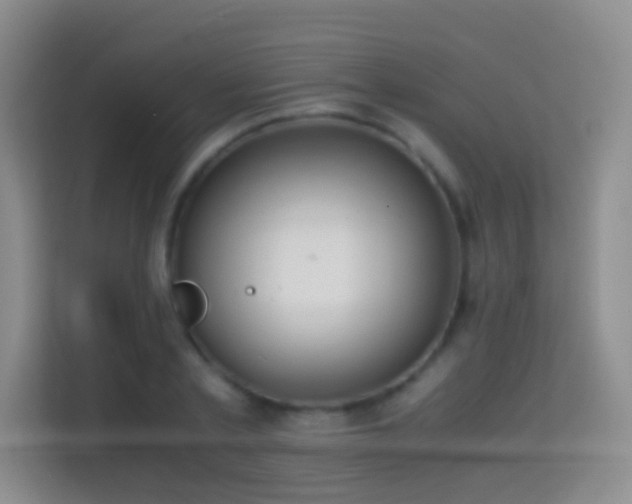 X0000114680789200910211209