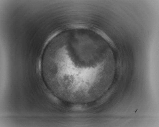 X0000114680790200910211209