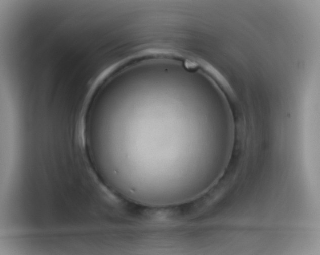 X0000114680791200910211209