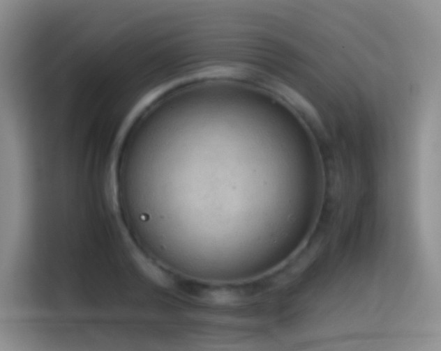 X0000114680792200910211209