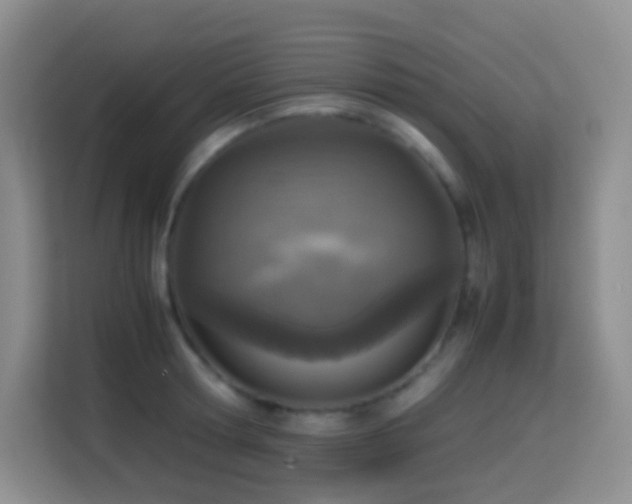 X0000114680802200910211209