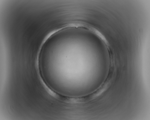 X0000114680803200910211209