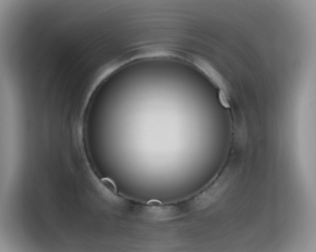 X0000114680805200910211209
