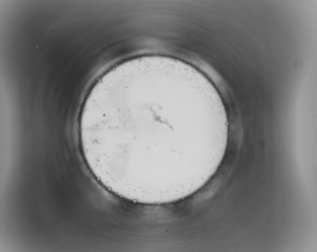 X0000114680807200910211209