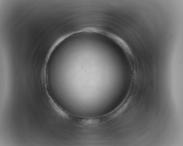 X0000114680808200910211209
