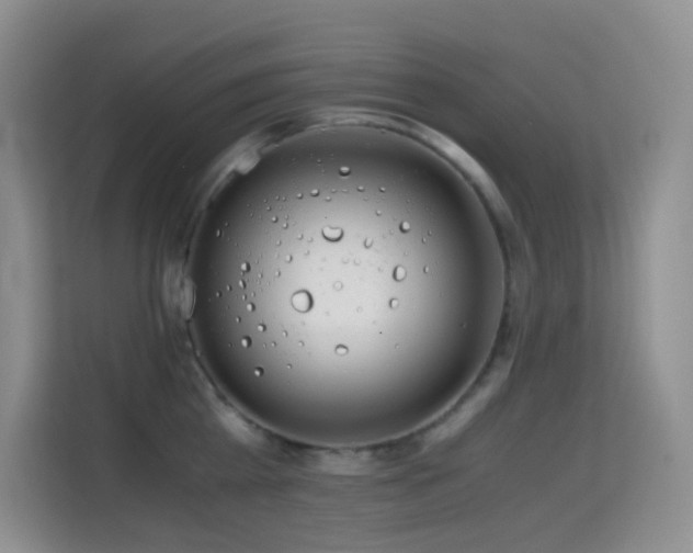 X0000114680809200910211209