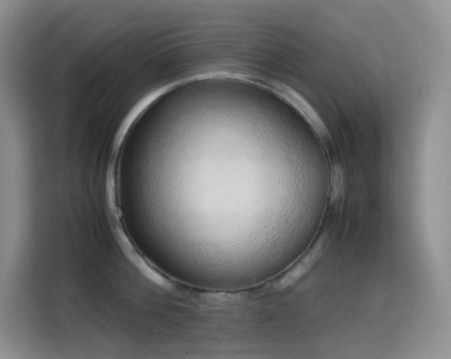 X0000114680812200910211209
