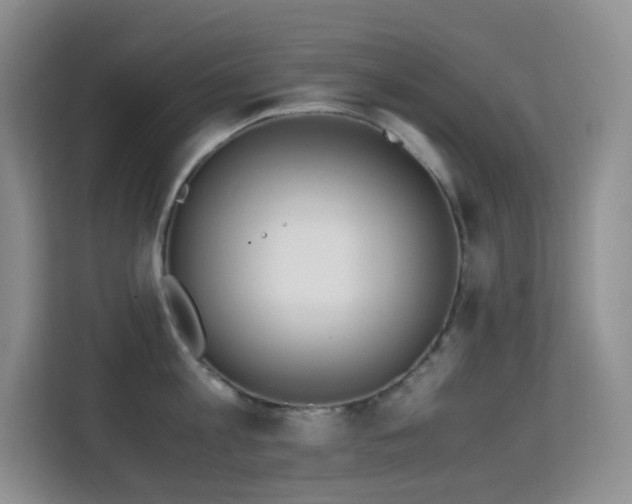 X0000114680813200910211209