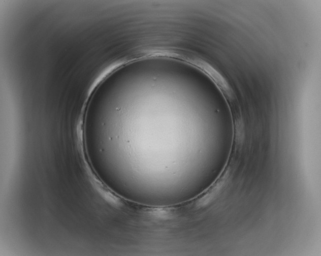 X0000114680814200910211209