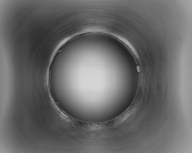 X0000114680815200910211209