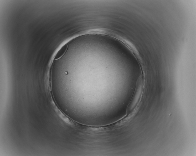 X0000114680816200910211209