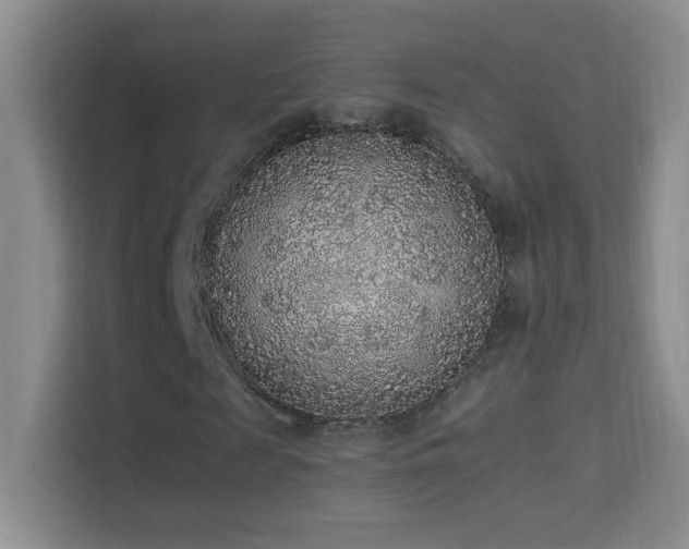 X0000114680817200910211208