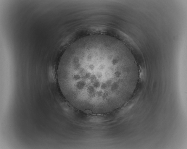 X0000114680819200910211208