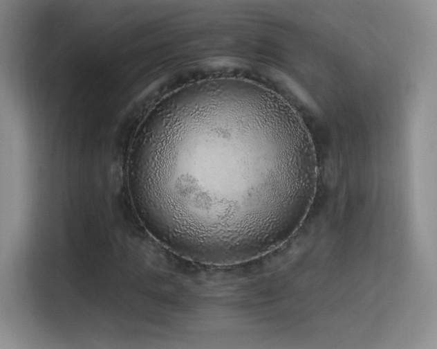X0000114680821200910211208