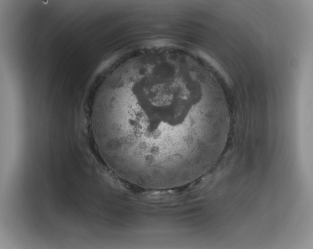 X0000114680823200910211208