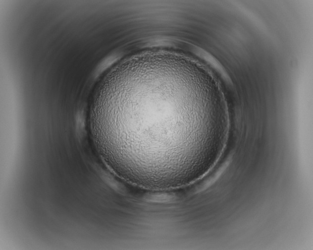 X0000114680826200910211208