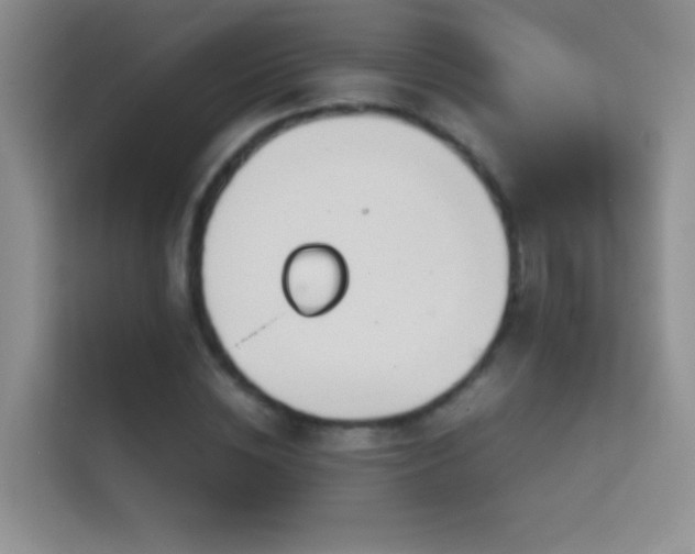 X0000114680828200910211208
