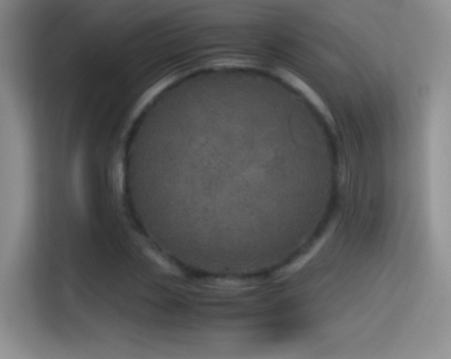 X0000114680829200910211208