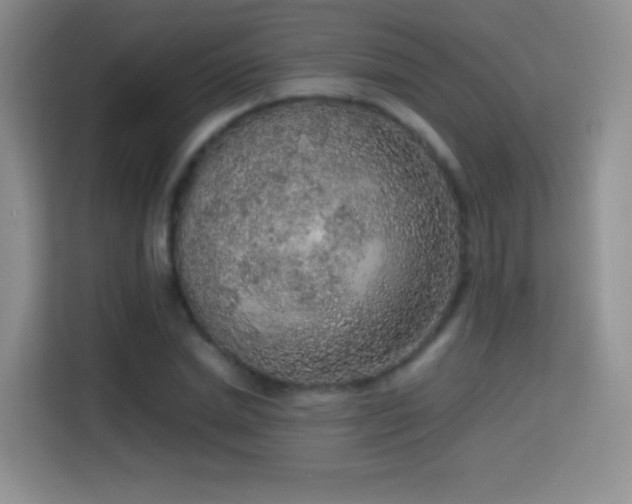 X0000114680830200910211208