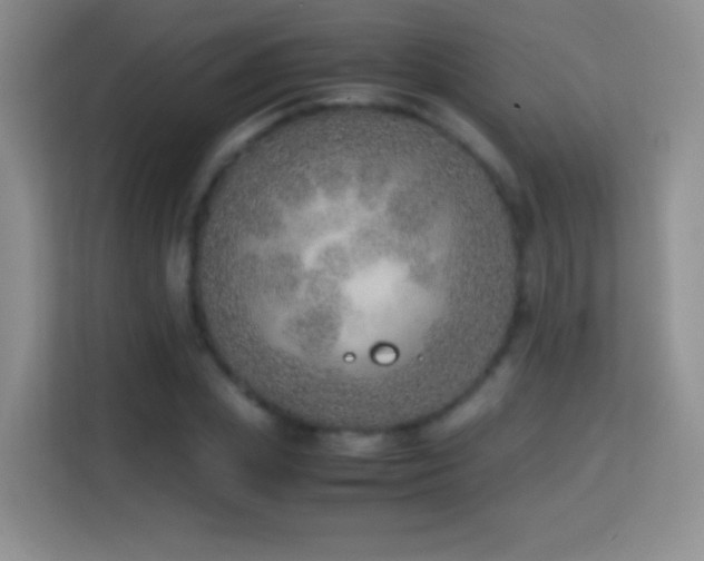 X0000114680831200910211208
