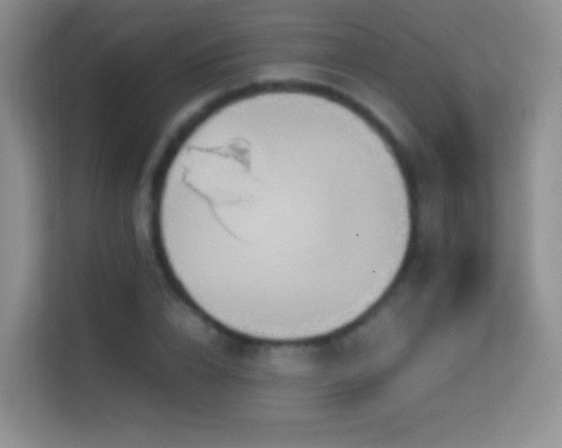 X0000114680832200910211208