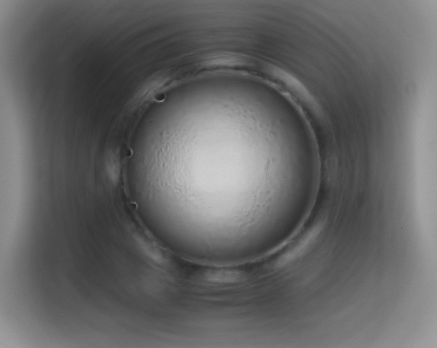 X0000114680833200910211208