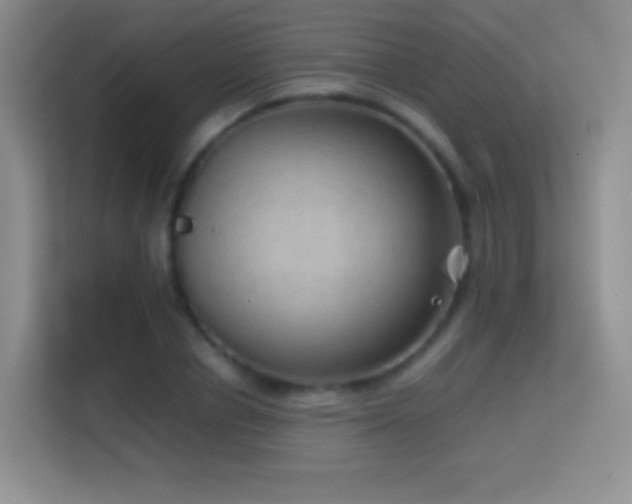 X0000114680834200910211208