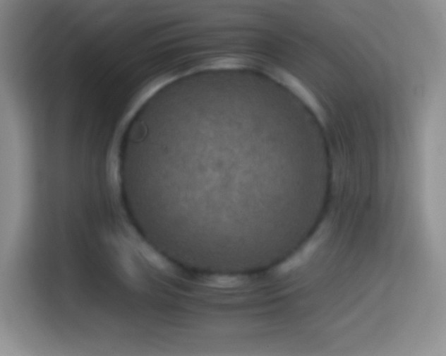 X0000114680835200910211208