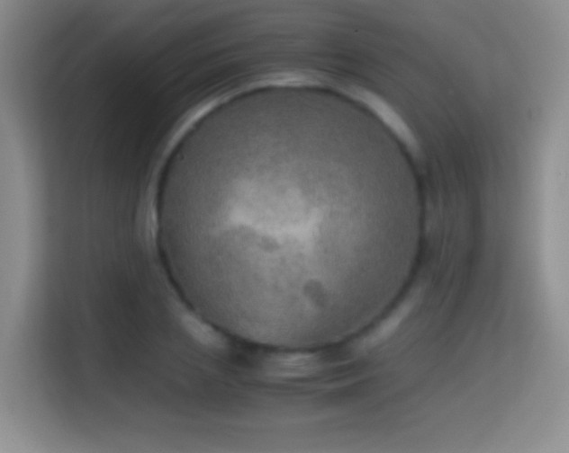 X0000114680837200910211208