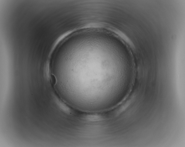 X0000114680838200910211208