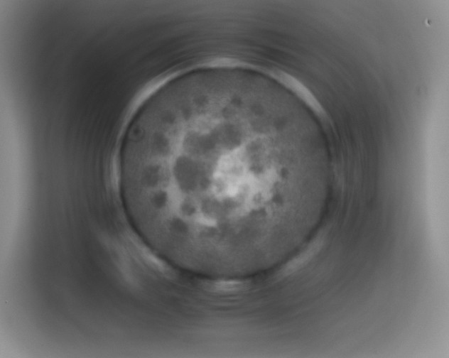 X0000114680839200910211208