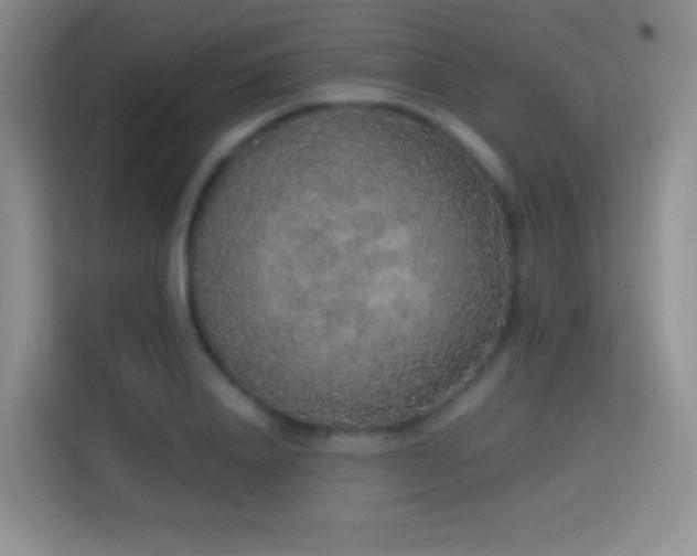 X0000114680840200910211208