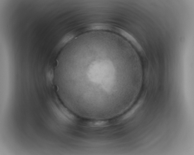 X0000114680841200910211209