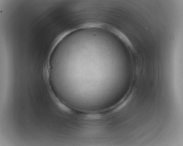 X0000114680844200910211209
