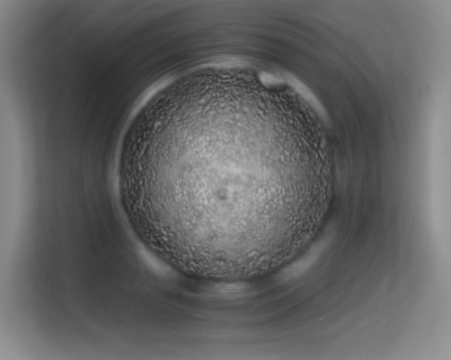 X0000114680845200910211209