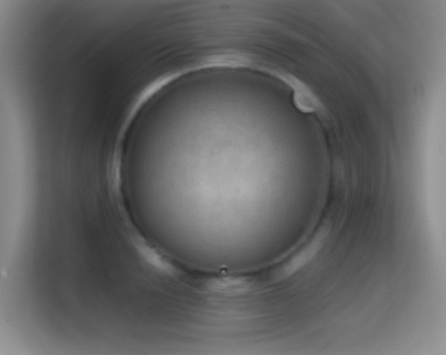 X0000114680846200910211209