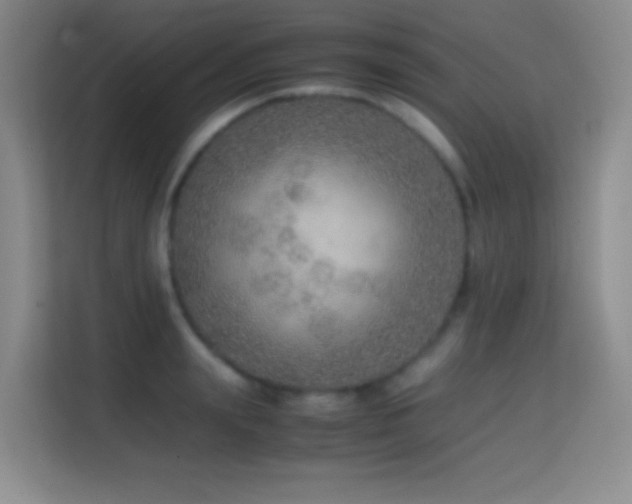 X0000114680847200910211209