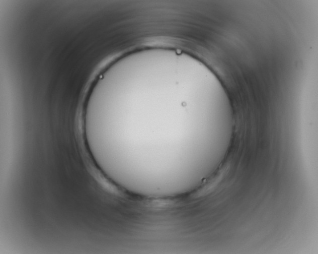 X0000114680848200910211209